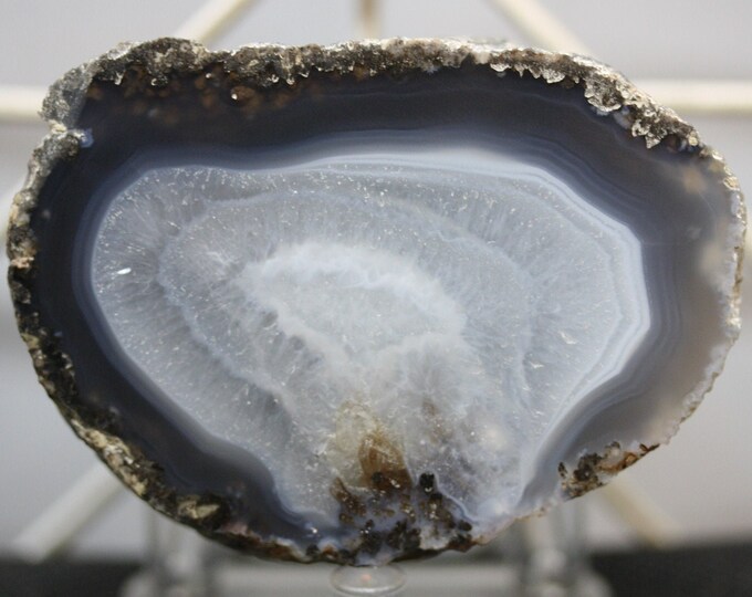 Mexican Coconut Specimen - Item R02406