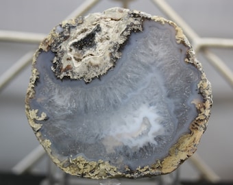 Mexican Coconut Specimen - Item R02440