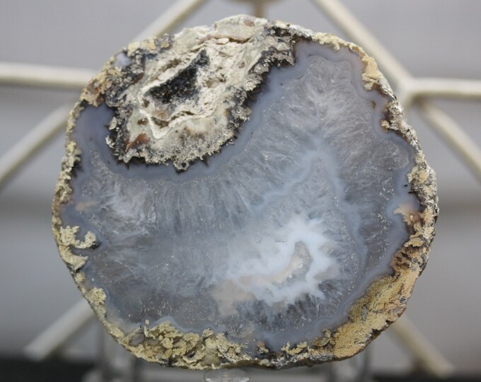 Mexican Coconut Specimen - Item R02440