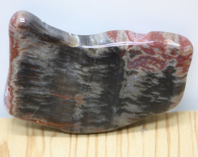 Petrified Wood Specimen - Item R02850