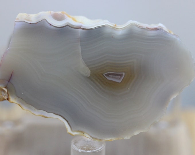 Coyamito Agate Specimen - R02896