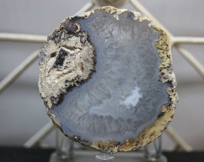 Mexican Coconut Specimen - Item R02441