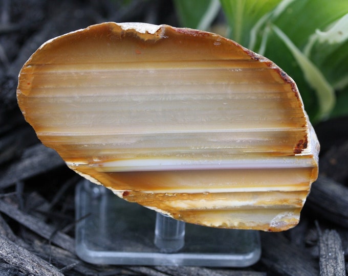 Brazilian Agate Specimen - R02372