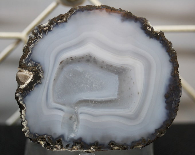 Mexican Coconut Specimen - Item R02087