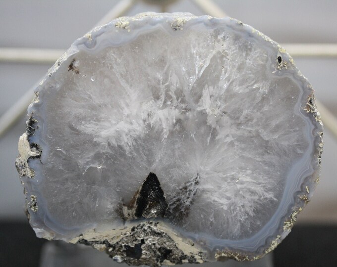 Mexican Coconut Specimen - Item R02325