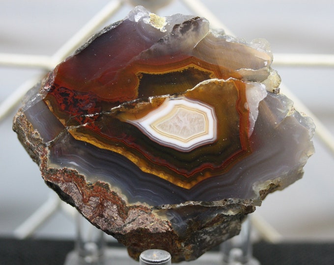 Laguna Agate Specimen - R02103