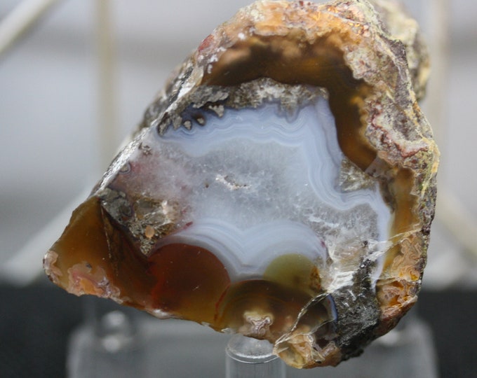 Laguna Agate Specimen - R02097