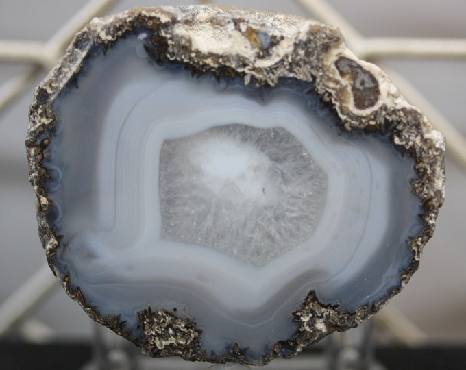 Mexican Coconut Specimen - Item R02332