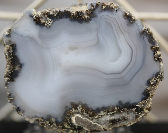Mexican Coconut Specimen - Item R02138