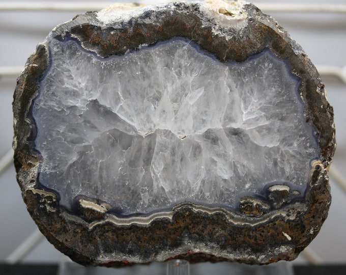 Mexican Coconut Specimen - Item R02806