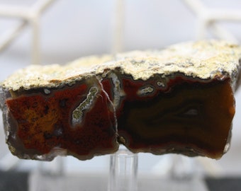 Laguna Agate Specimen - R02215