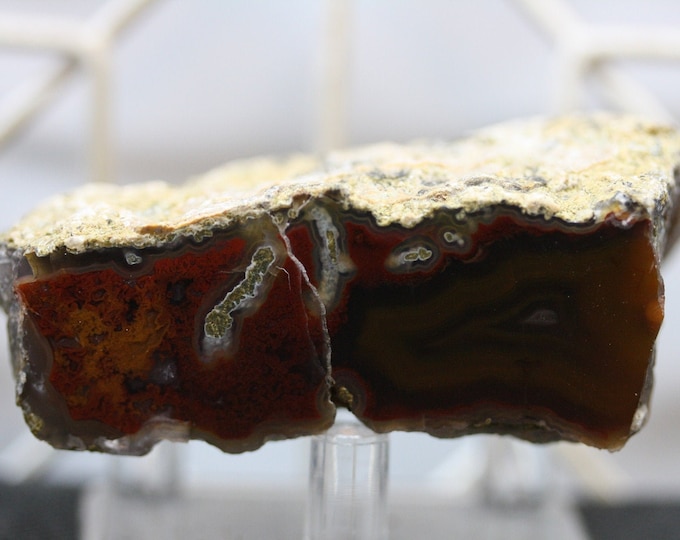 Laguna Agate Specimen - R02215