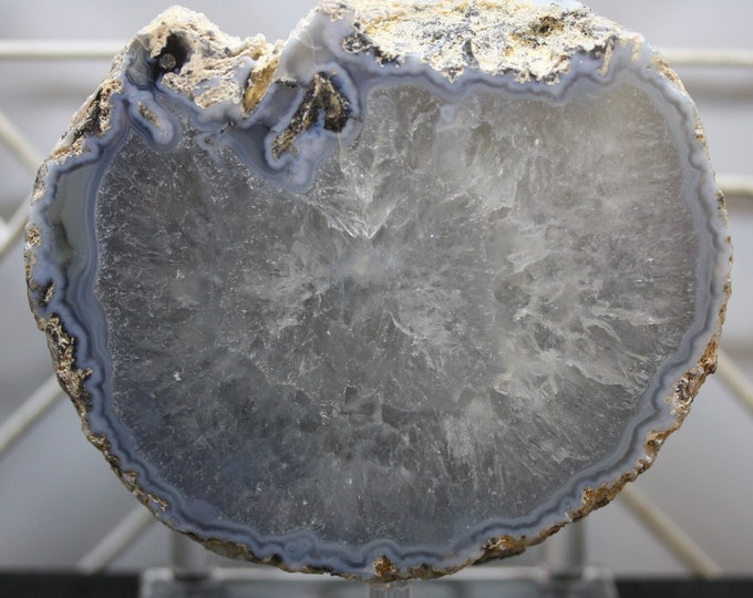 Mexican Coconut Specimen - Item R02805