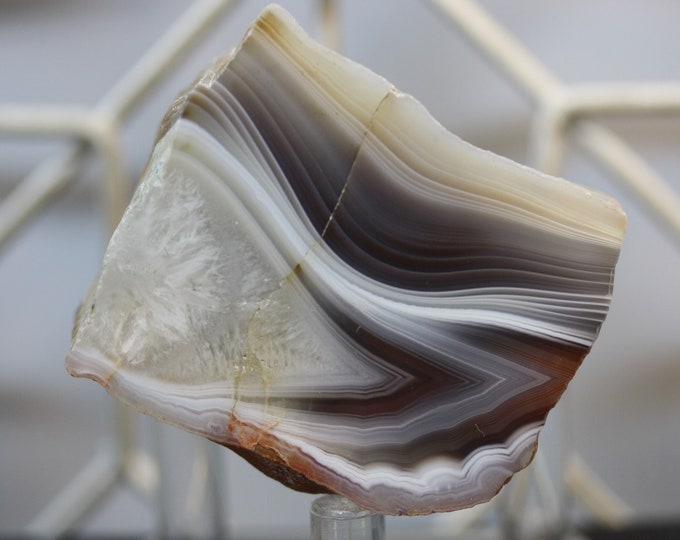 Botswana Agate Specimen - R02567