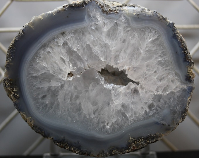Mexican Coconut Specimen - Item R02804