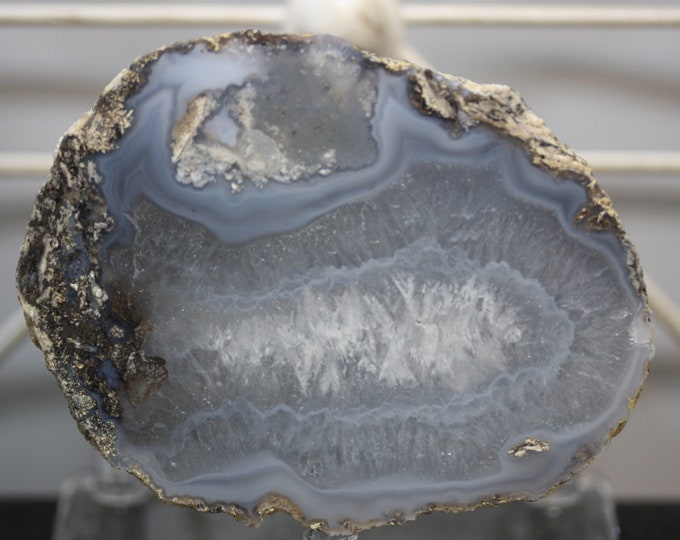 Mexican Coconut Specimen - Item R02167