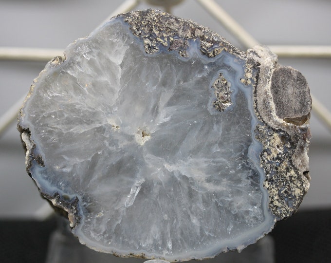 Mexican Coconut Specimen - Item R02240