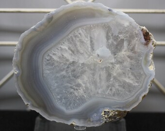 Mexican Coconut Specimen - Item R02230