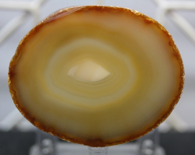 Brazilian Agate Specimen - R02358