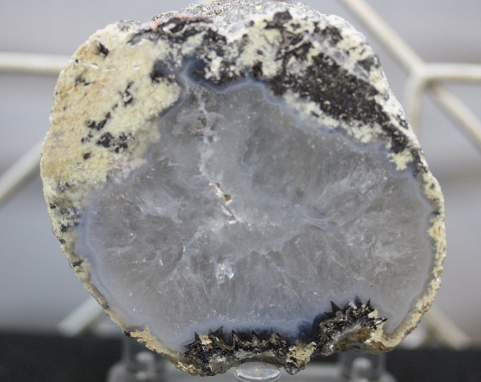 Mexican Coconut Specimen - Item R02338