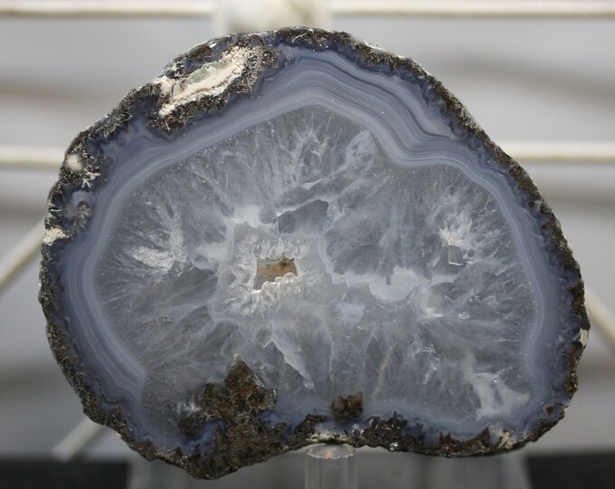 Mexican Coconut Specimen - Item R02200