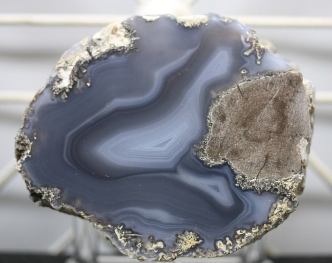 Mexican Coconut Specimen - Item R02250