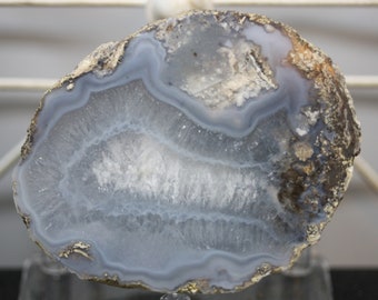 Mexican Coconut Specimen - Item R02168