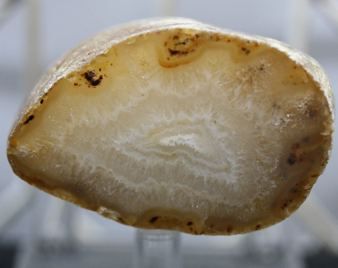 Brazilian Agate Specimen - R02224