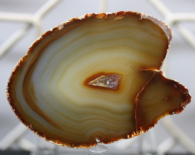 Brazilian Agate Specimen - R02234