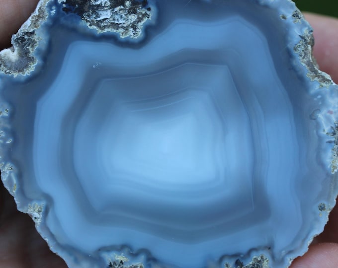 Mexican Coconut Specimen - Item R02956