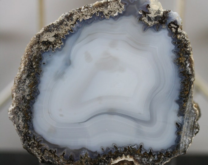 Mexican Coconut Specimen - Item R02847