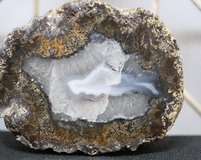Mexican Coconut Specimen - R02733