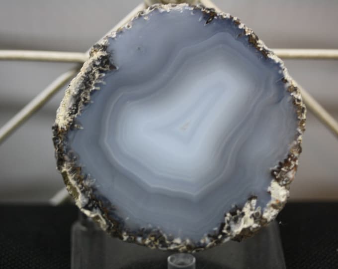 Mexican Coconut Specimen - Item R02029