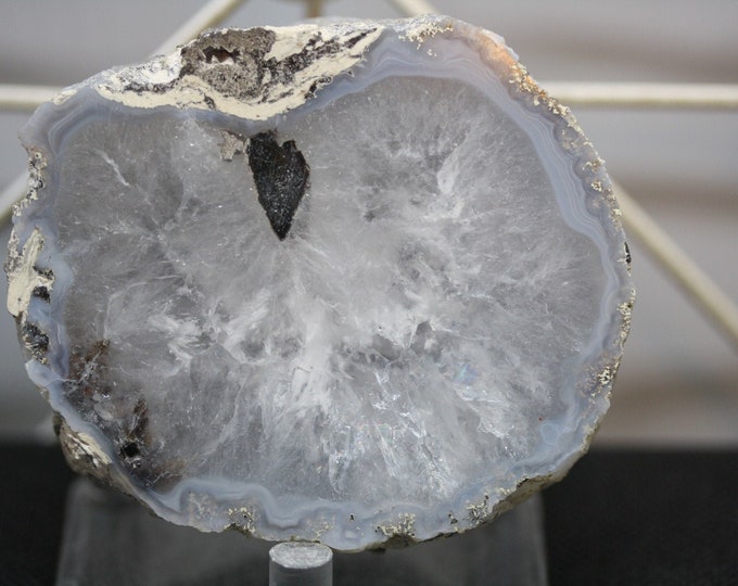 Mexican Coconut Specimen - Item R02322