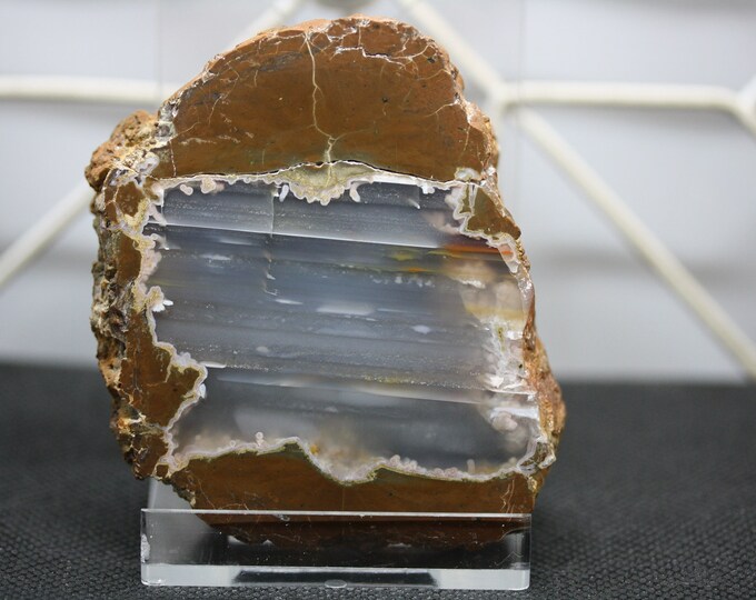 Thunderegg Specimen - Item R02264