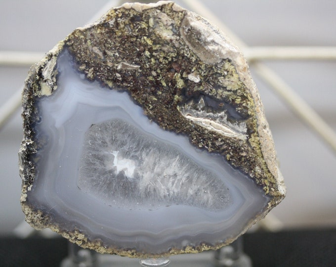 Mexican Coconut Specimen - Item R02335