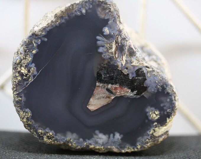 Mexican Coconut Specimen - R02737