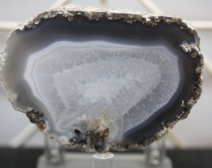 Mexican Coconut Specimen - Item R02412