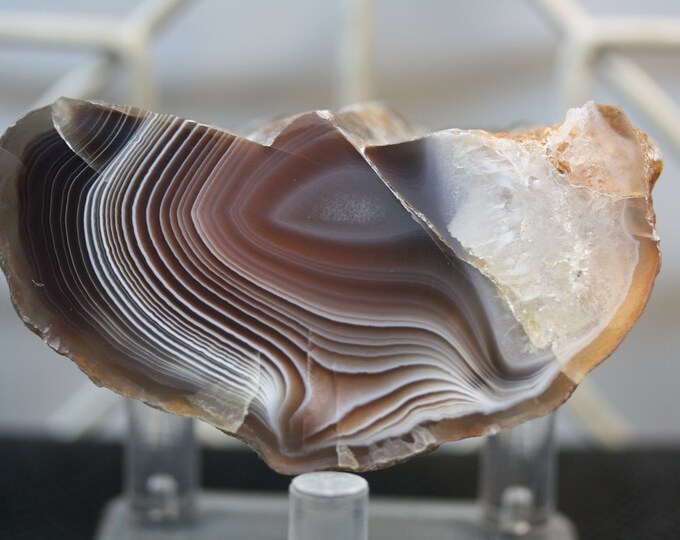 Botswana Agate Specimen - R02558