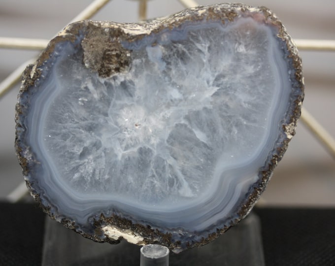 Mexican Coconut Specimen - Item R02089
