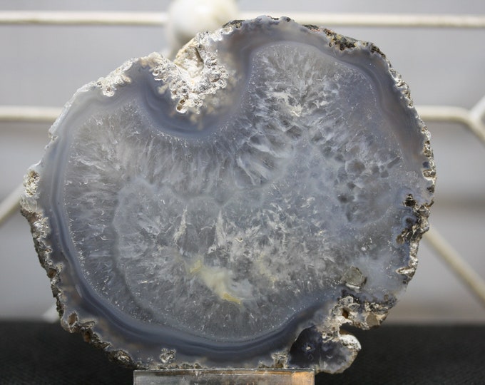 Mexican Coconut Specimen - Item R02409