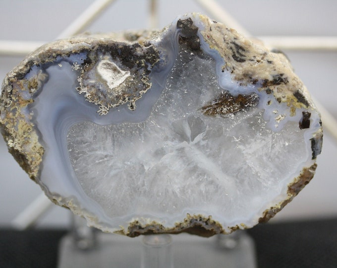 Mexican Coconut Specimen - Item R02408