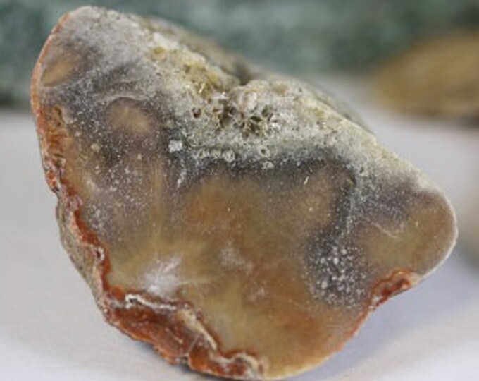 Lake Superior Agate (half) - Item R02615