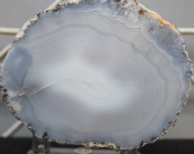 Mexican Coconut Specimen - Item R02377