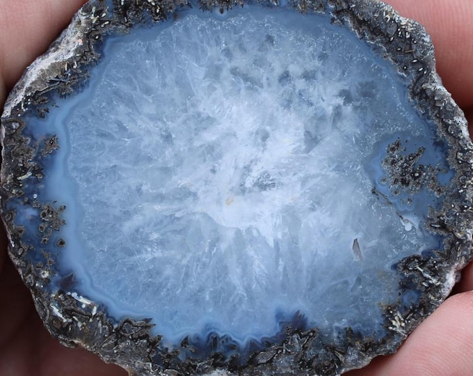 Mexican Coconut Specimen - Item R02960