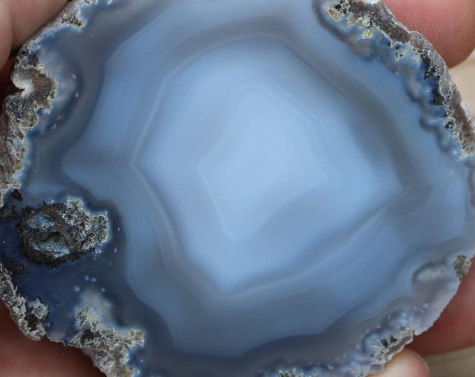 Mexican Coconut Specimen - Item R02972