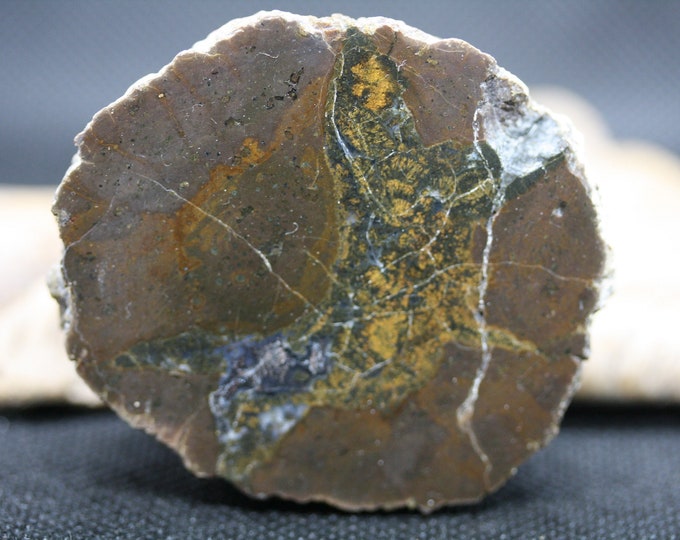 Thunderegg Specimen - Item R02607