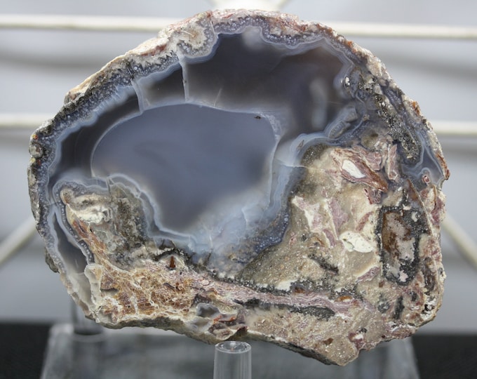 Mexican Coconut Specimen - Item R02249