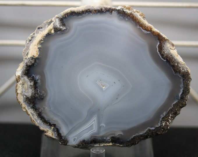 Mexican Coconut Specimen - Item R02229