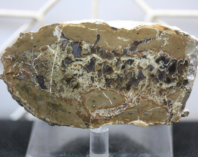 Moss Agate Thunderegg Specimen - Item R02032